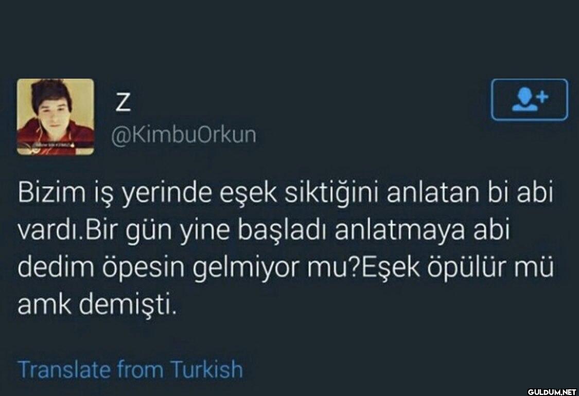 Bizim iş yerinde eşek...