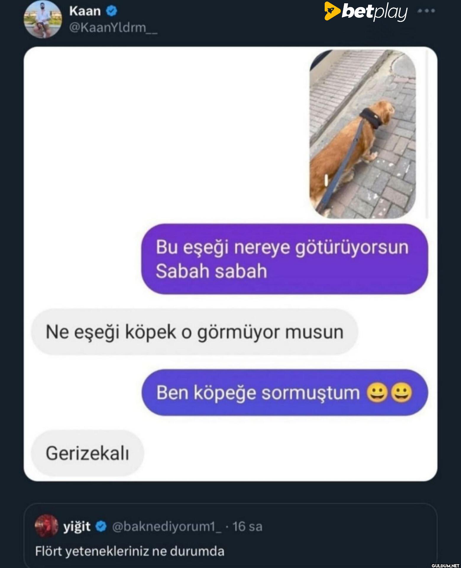 Bu eşeği nereye...