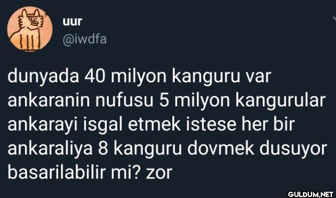 dunyada 40 milyon kanguru...