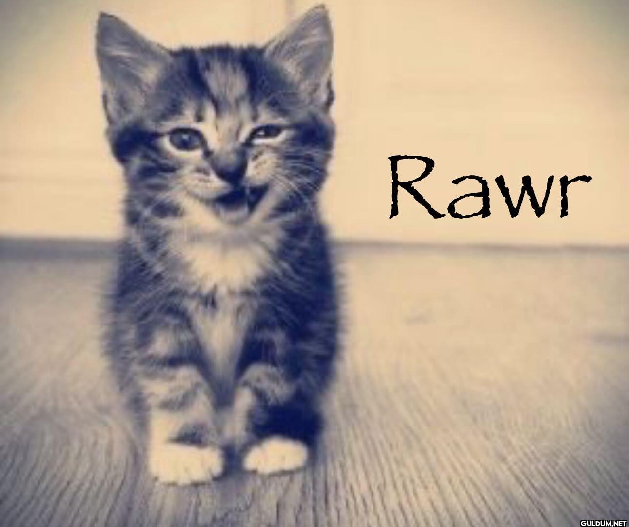 Rawr