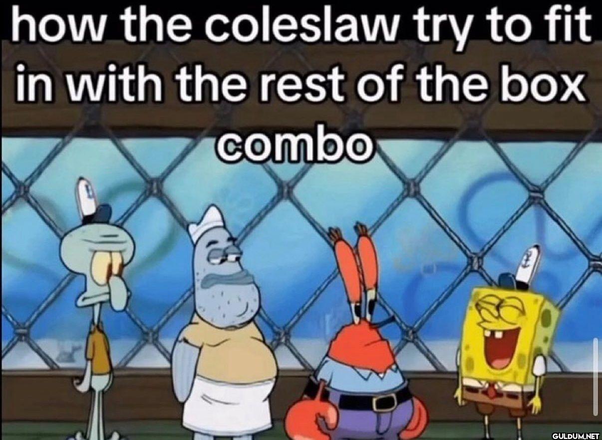 how the coleslaw try to...