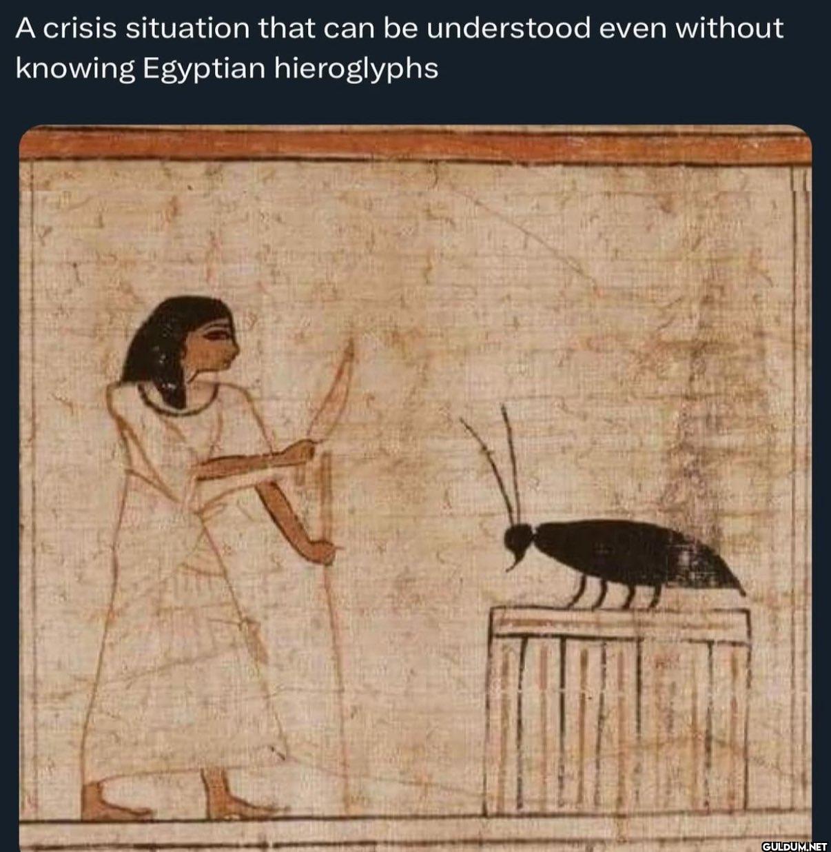 💀    A crisis situation...