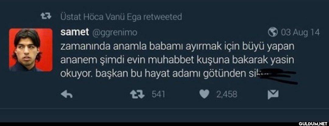 Üstat Höca Vanü Ega...