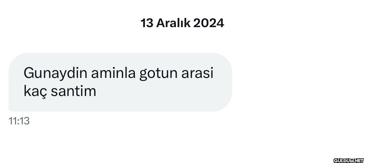 13 Aralık 2024 Gunaydin...