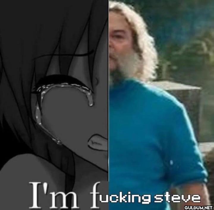 I'm fucking steve