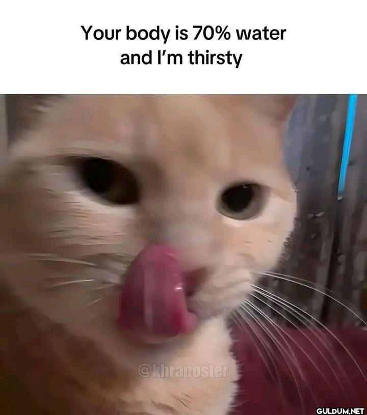Your body is 70% water and...