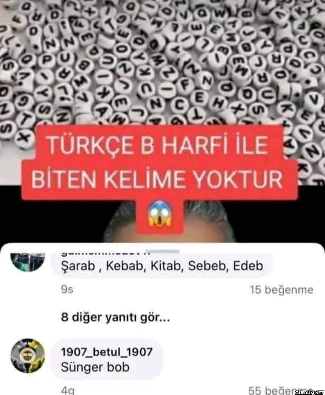 S TÜRKÇE B HARFİ İLE BİTEN...