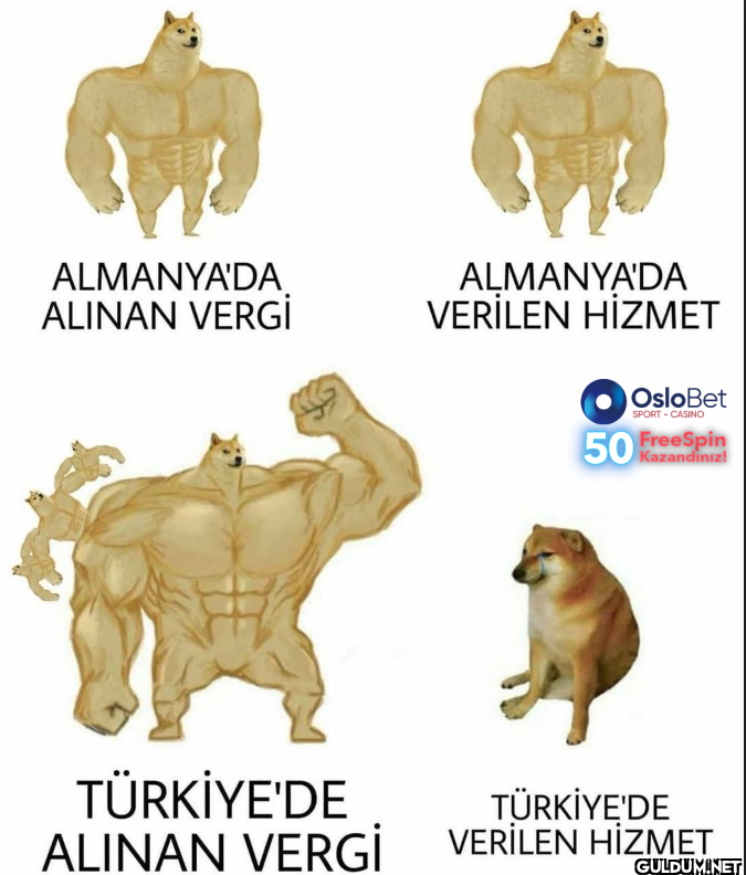 ALMANYA'DA ALINAN VERGİ...