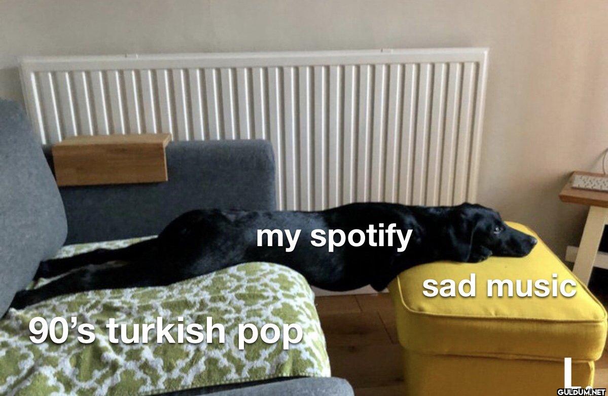 my spotify 90's turkish...