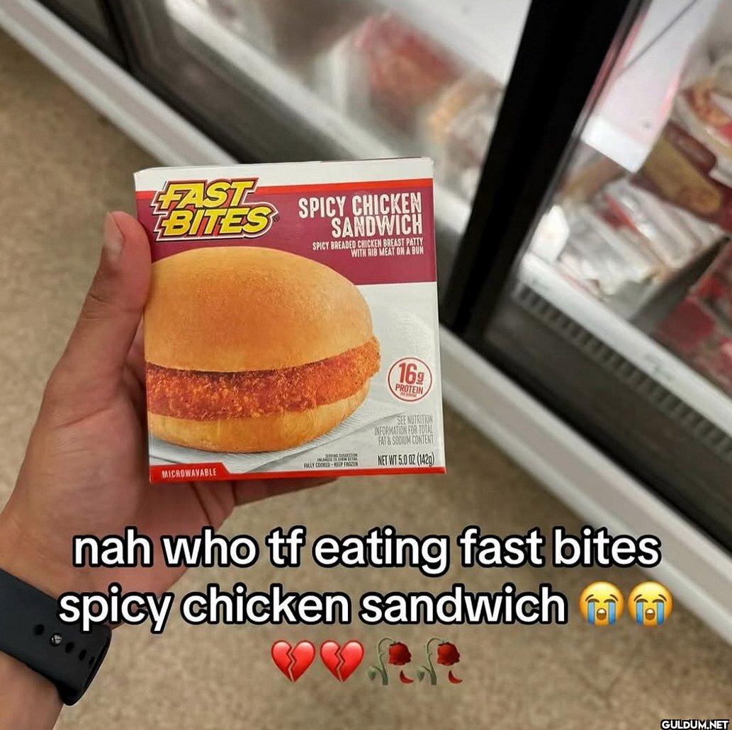FAST BITES SPICY CHICKEN...