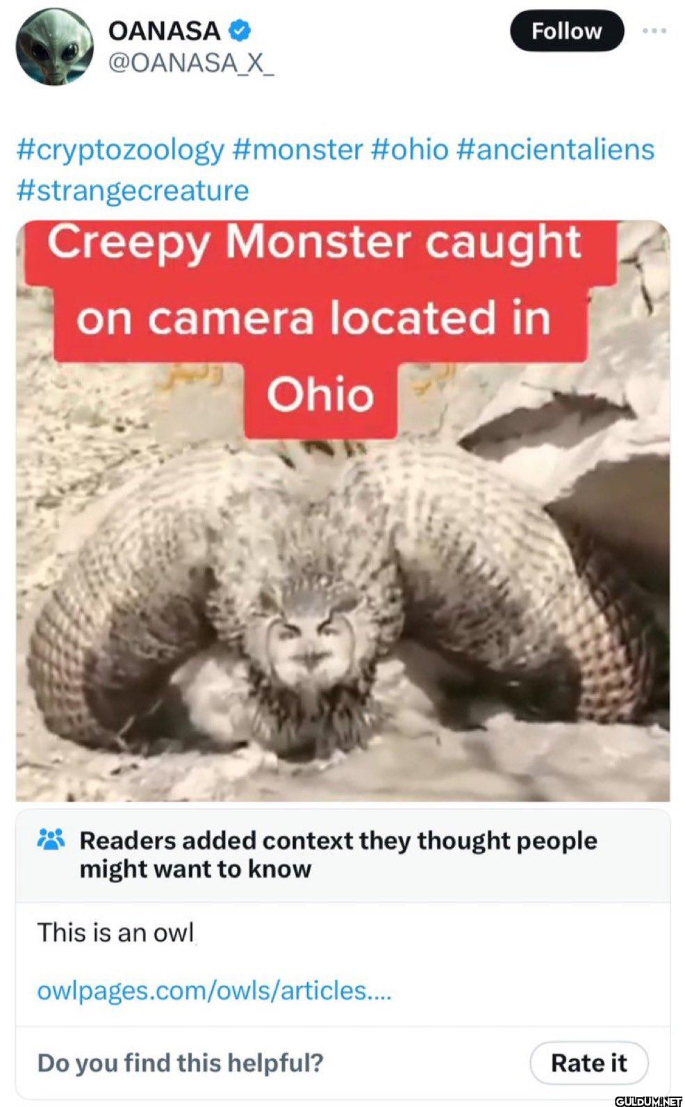 Follow #cryptozoology...