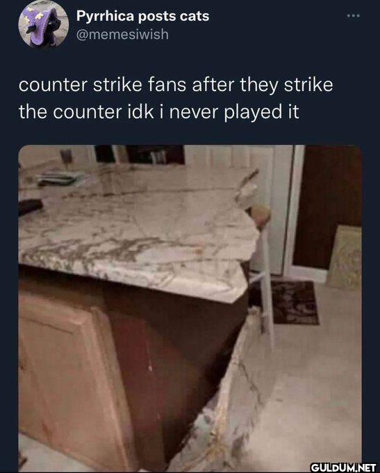 counter strike fans after...