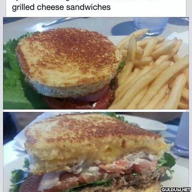 ︎ ︎ ︎ ︎    grilled cheese...