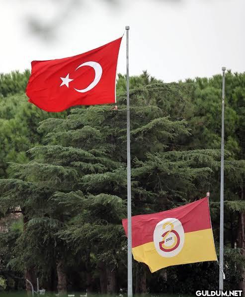 Anlık florya: C