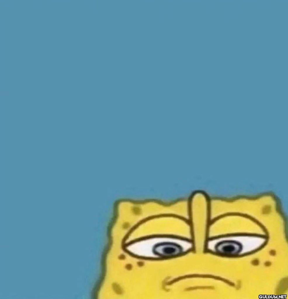 me looking at what's about...