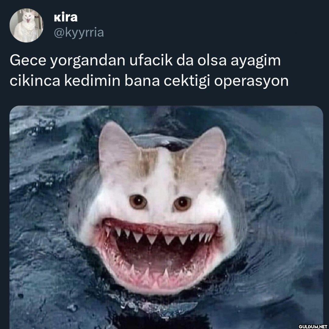 Gece yorgandan ufacik da...