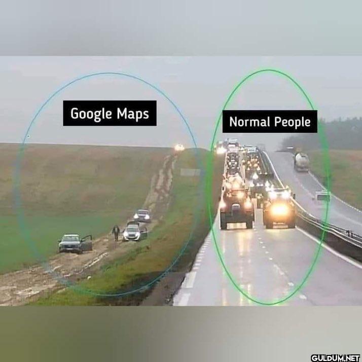 😭    Google Maps Normal People