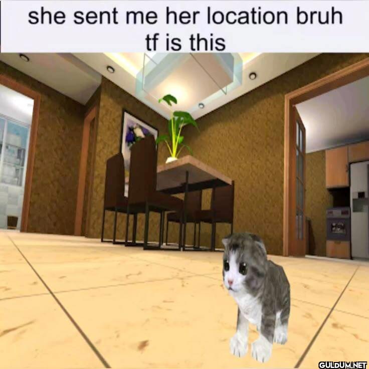 she sent me her location...