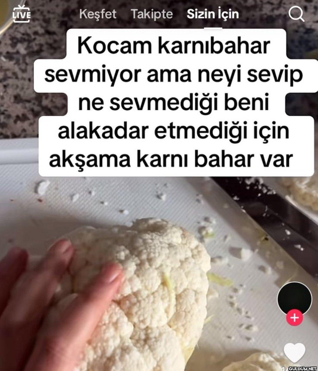 LIVE [M] Keşfet Takipte...
