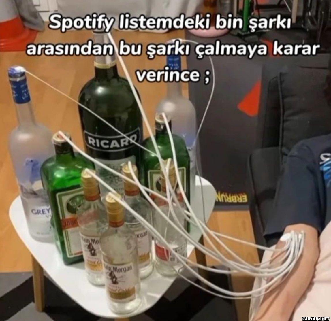 Spotify listemdeki bin...