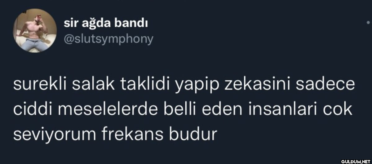 surekli salak taklidi...