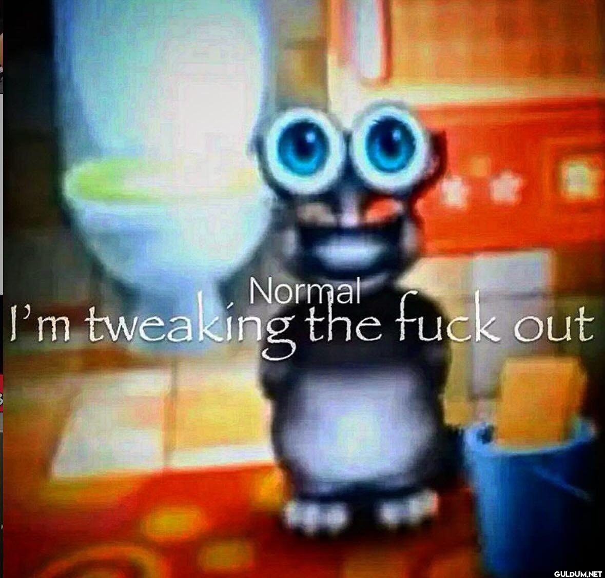 Normal I'm tweaking the fuck out
