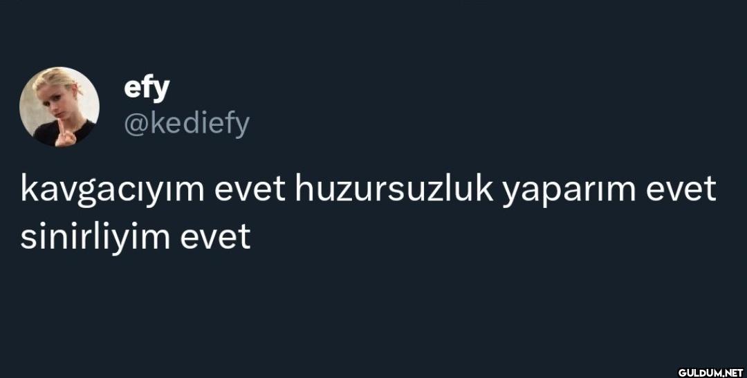 kavgacıyım evet...