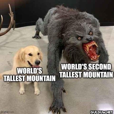 WORLD'S TALLEST MOUNTAIN...