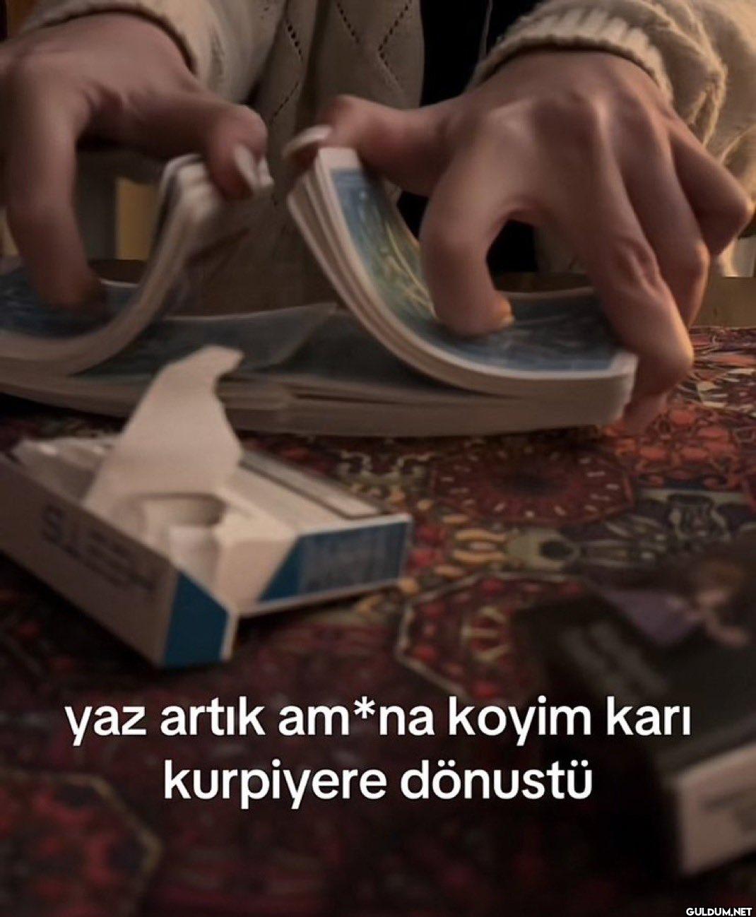 SLEEH yaz artık am*na...