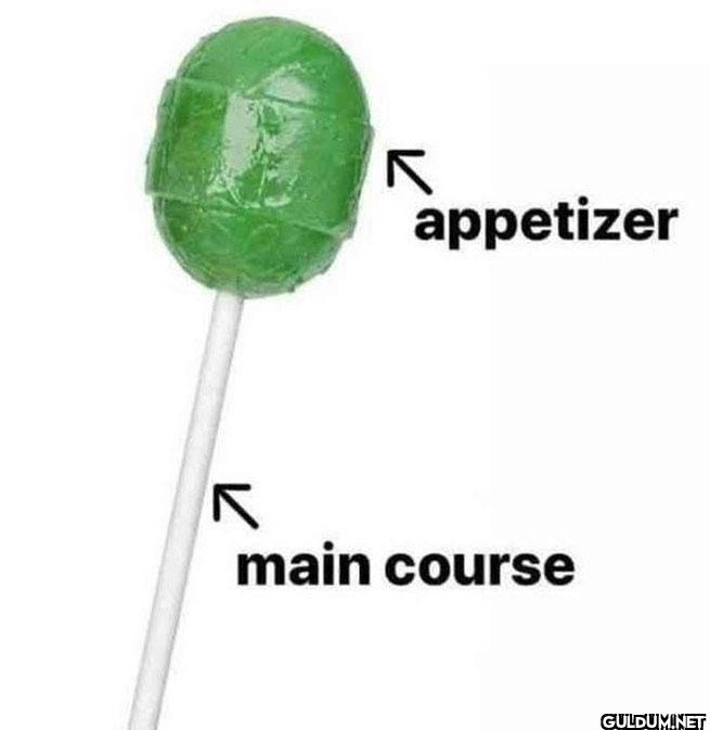 appetizer main course
