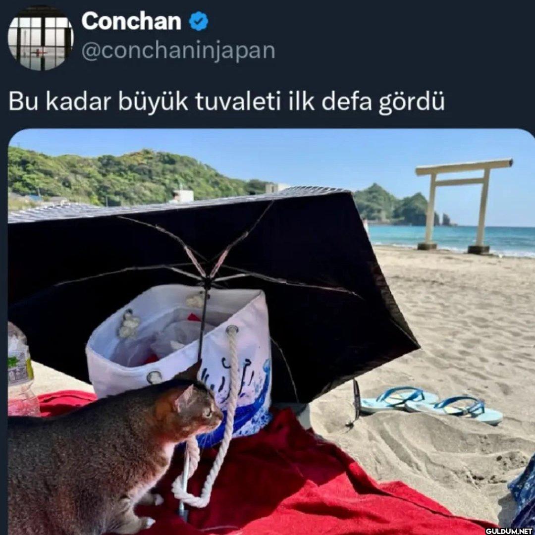 Bu kadar büyük tuvaleti...