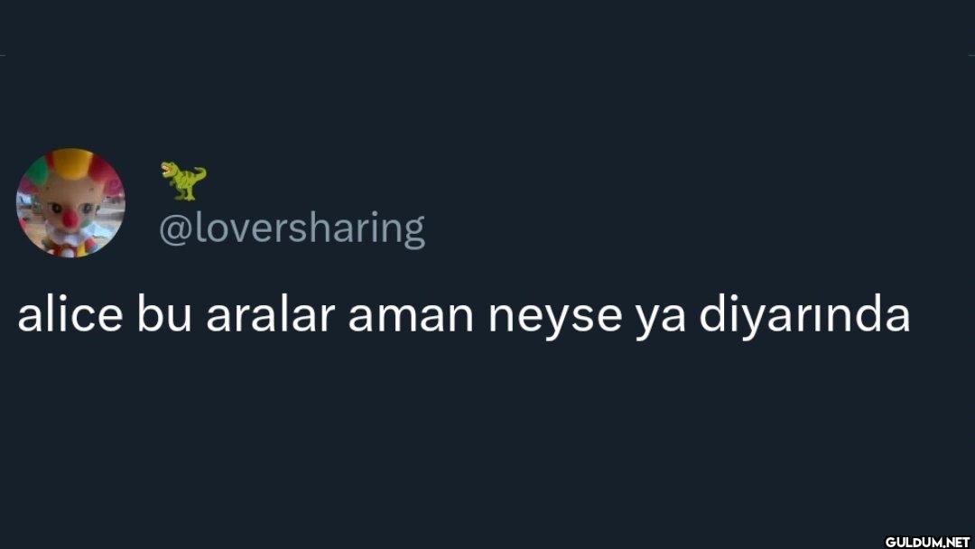 alice bu aralar aman neyse...