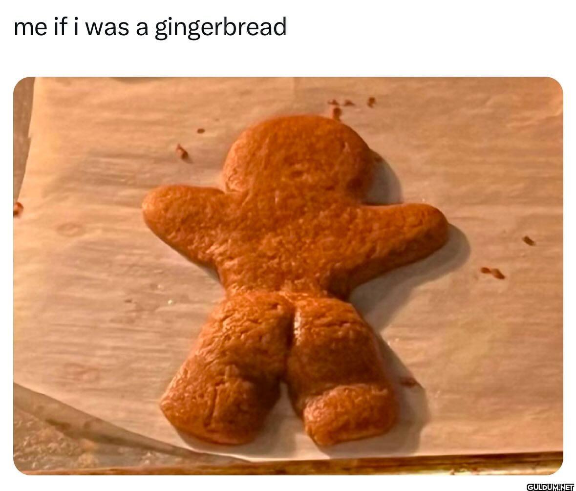 me if i was a gingerbread