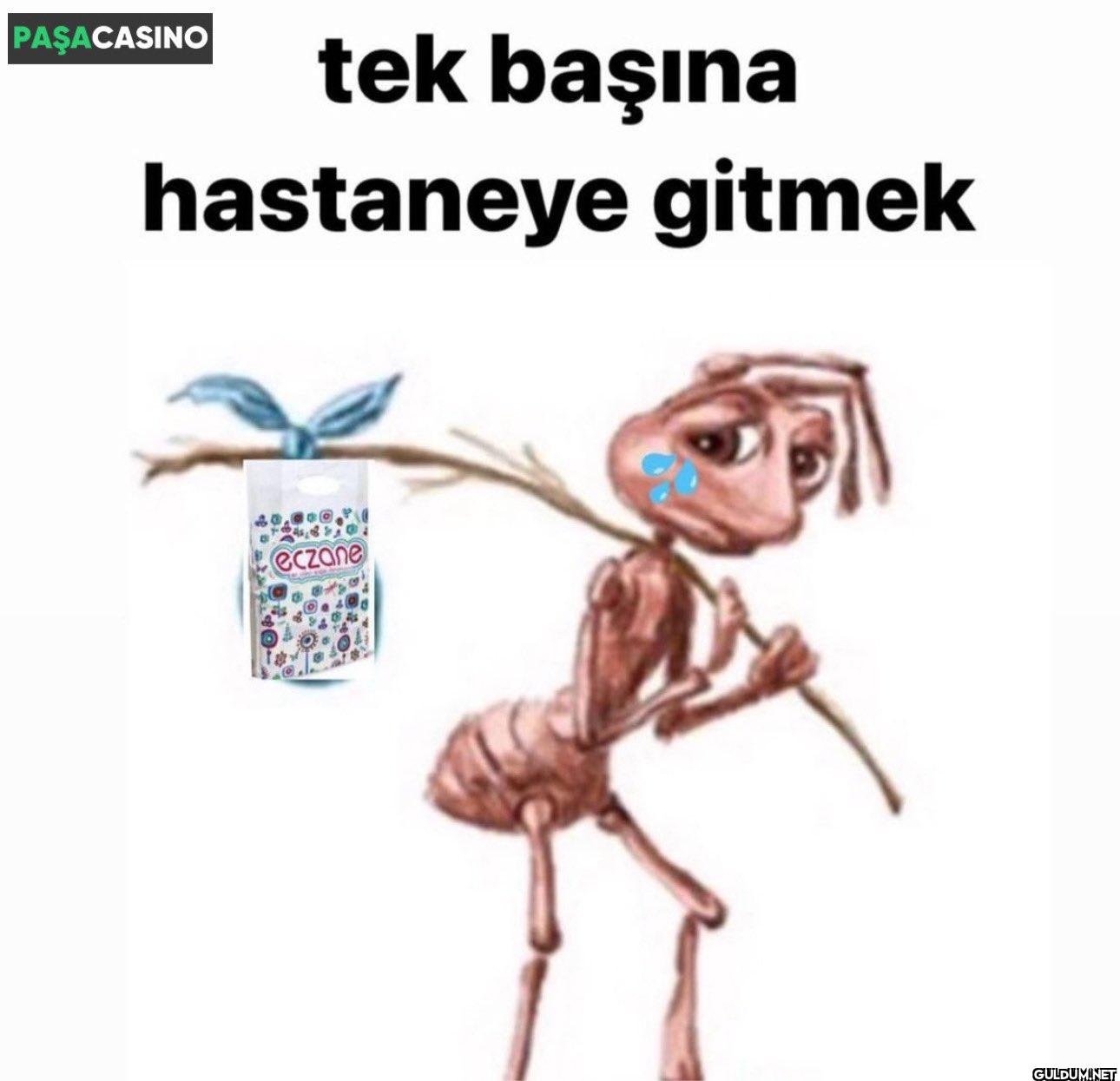 PAŞACASINO tek başına...