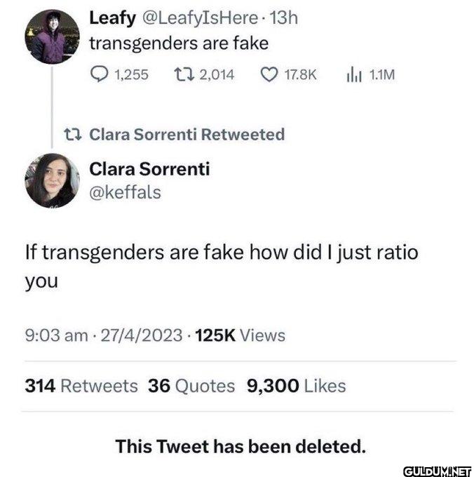 . 13h transgenders are...