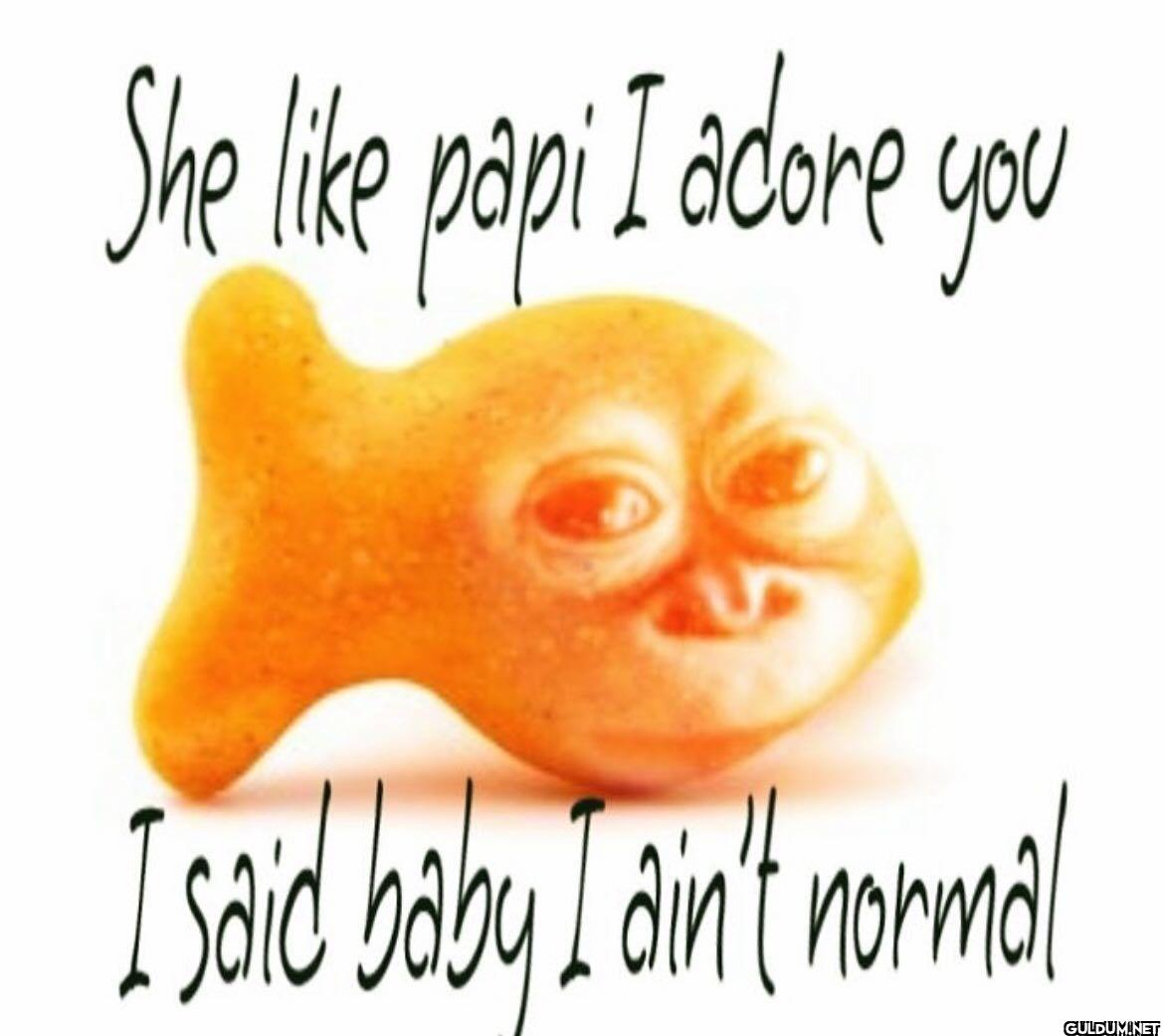 She papi I adore you I...