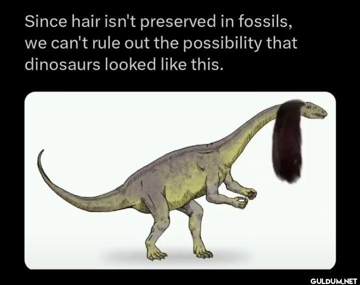 Since hair isn't preserved...