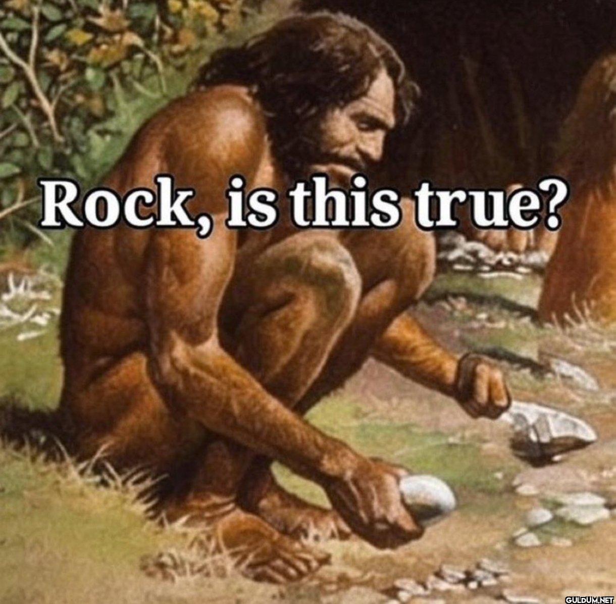 @kent_256_ @grok Rock, is...