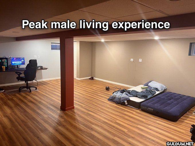 Peak male living experience