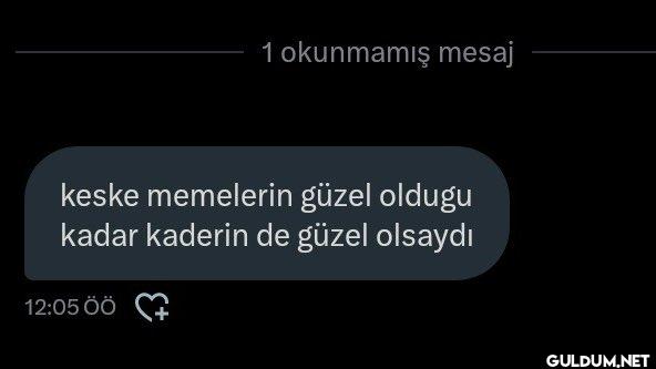1 okunmamış mesaj keske...