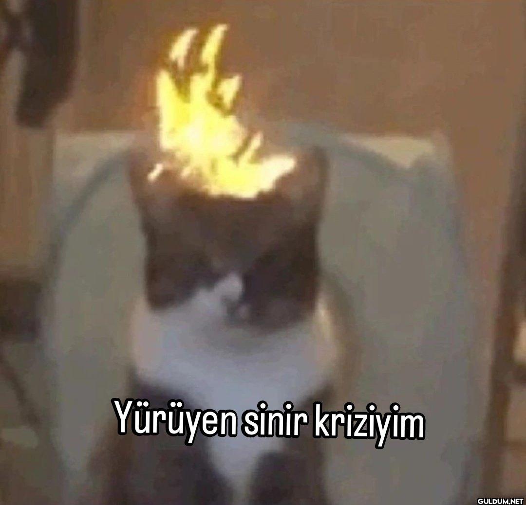 Yürüyen sinir kriziyim