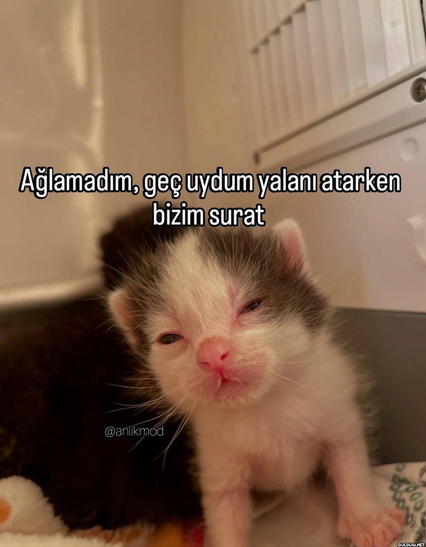 Ağlamadım, geç uydum...