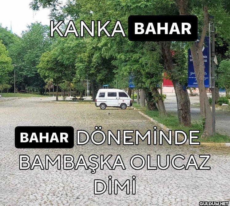 KANKA BAHAR Or Yele yild...