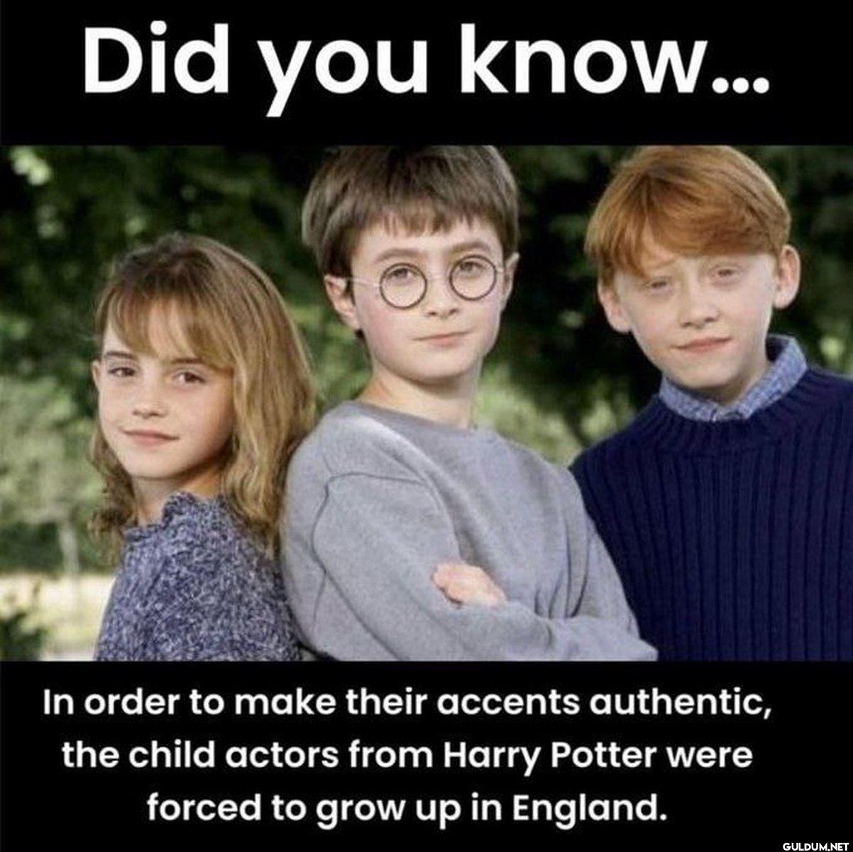 Did you know... In order...