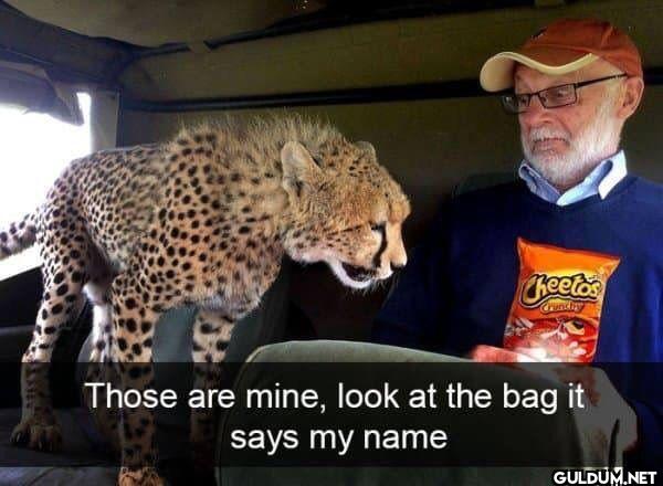 Cheetos Crundiy Those are...