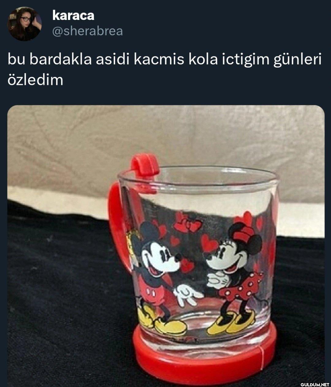 bu bardakla asidi kacmis...