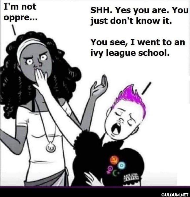 "I'm offended on your...