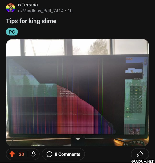 r/Terraria...