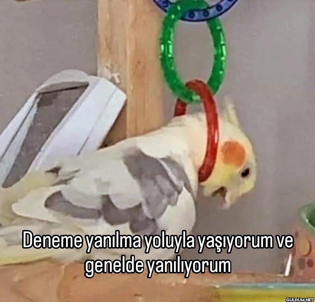 Deneme yanılma yoluyla...