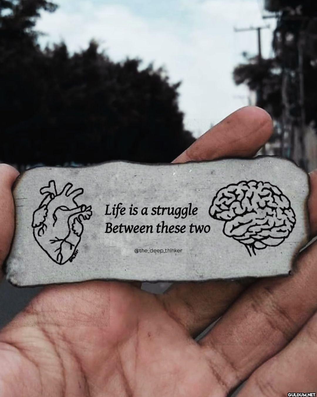 4.    Life is a struggle...